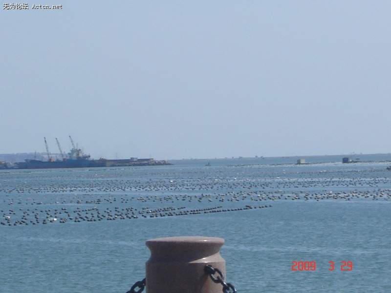 DSC02365.JPG