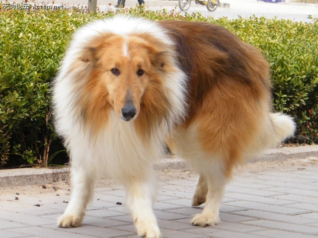 DSCF1160.JPG