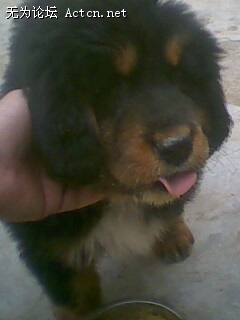 IMG0049A.jpg