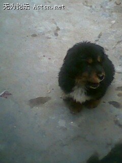 IMG0059A.jpg