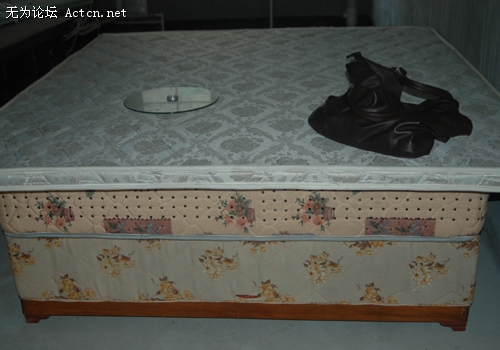 DSC_8317.JPG