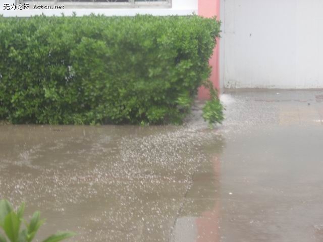 STA42559.jpg