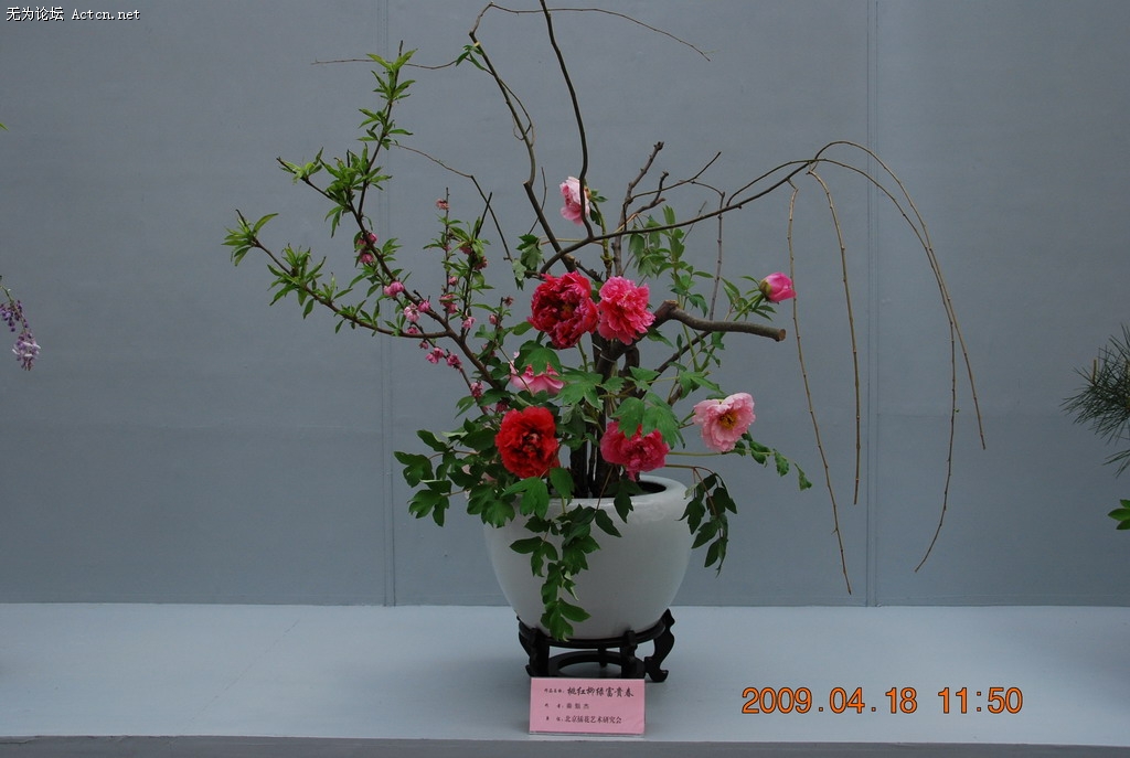20090418 078.jpg