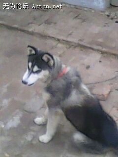 IMG0153A.jpg