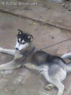 IMG0152A.jpg