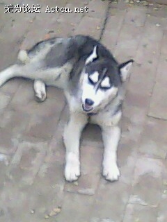 IMG0155A.jpg