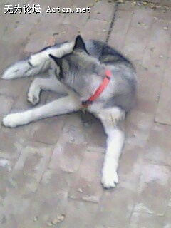 IMG0156A.jpg