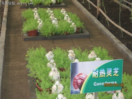 Ƭ 022.jpg