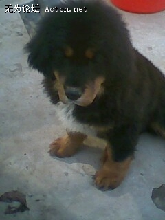 IMG0079A.jpg