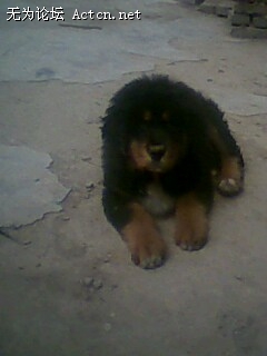 IMG0071A.jpg