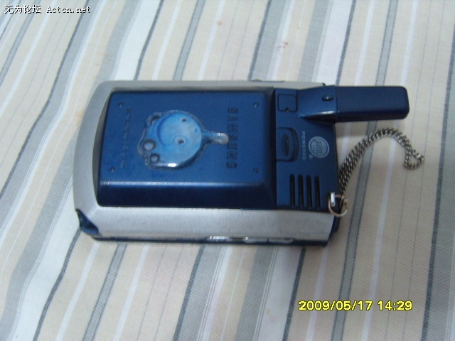 S1031661.JPG
