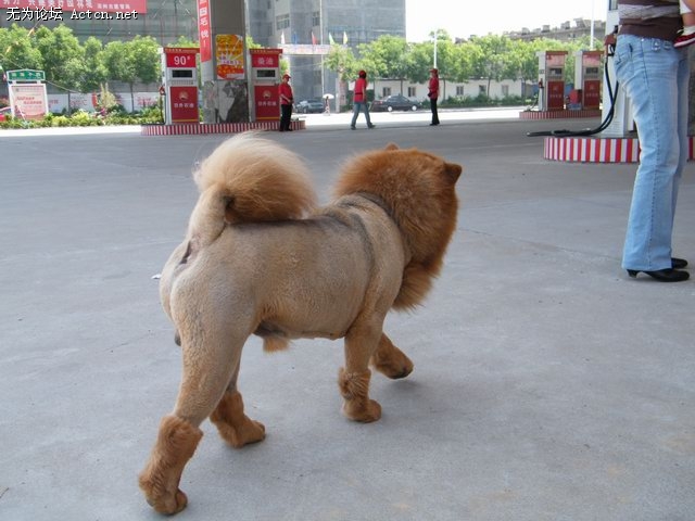 DSCF1425.JPG