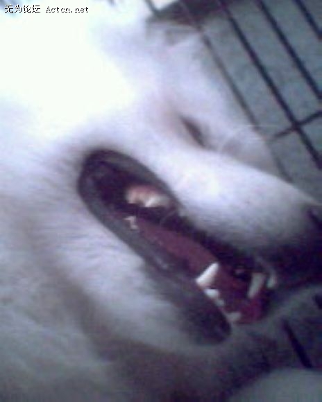 IMG0121A.jpg