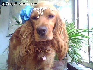 IMG0475A.jpg