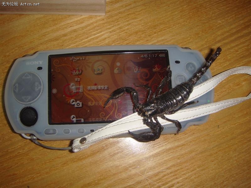 DSC00908 (����).JPG