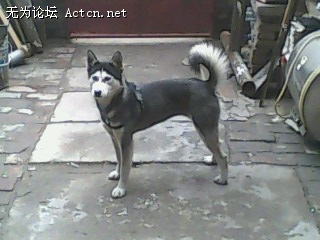 IMG0092A.jpg