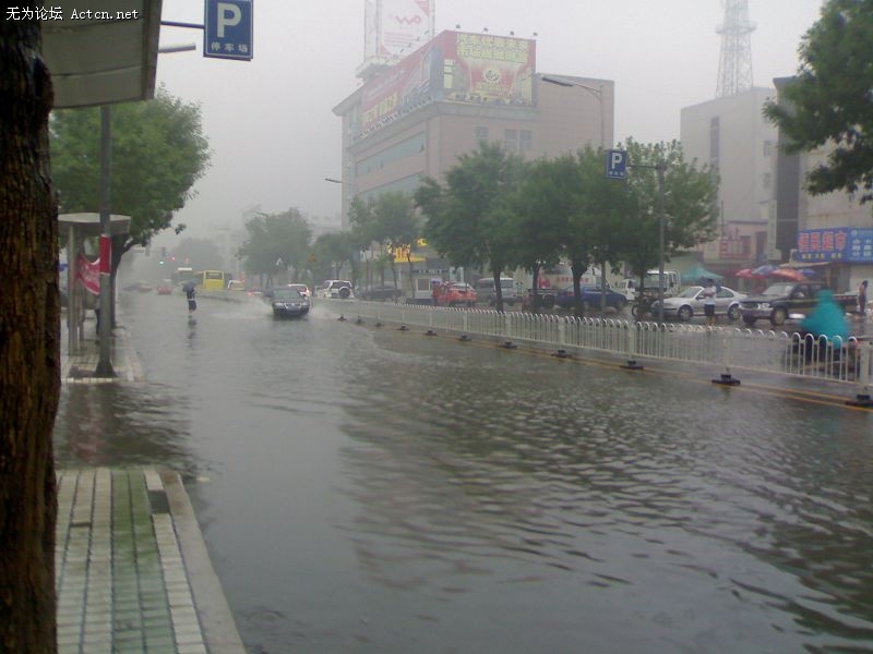 20090619057.jpg
