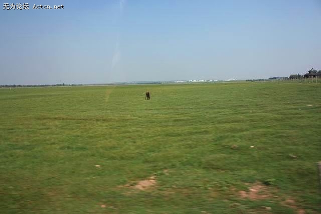 IMG_0628.jpg