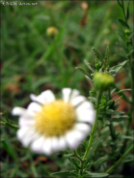 DSC03738.jpg