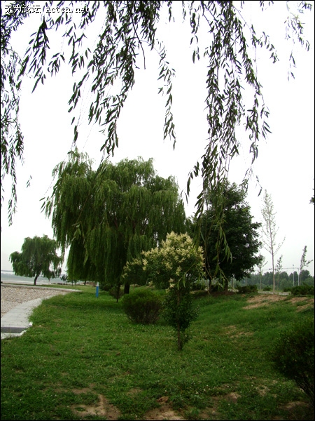 DSC03788.jpg