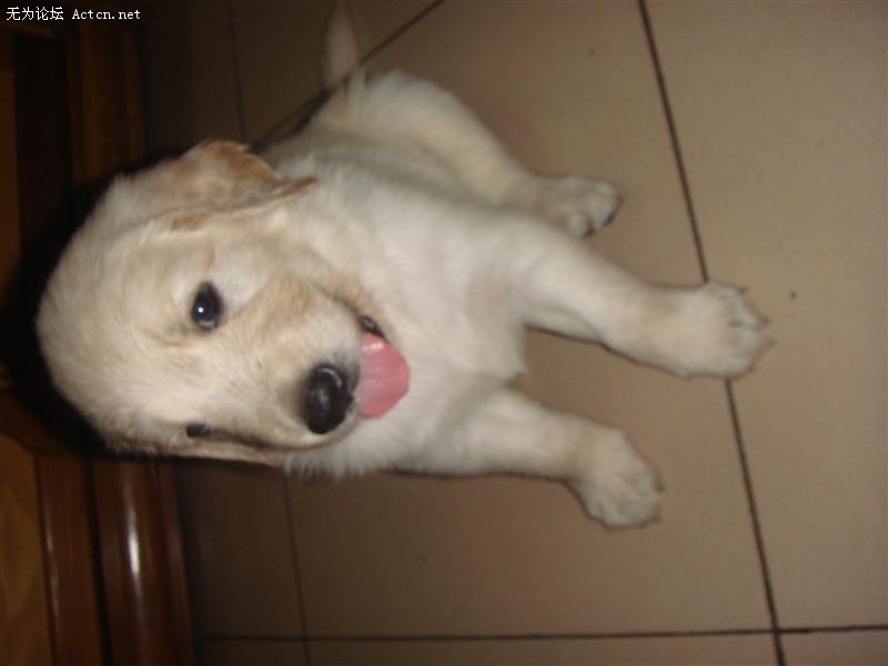 DSC01023 ().JPG