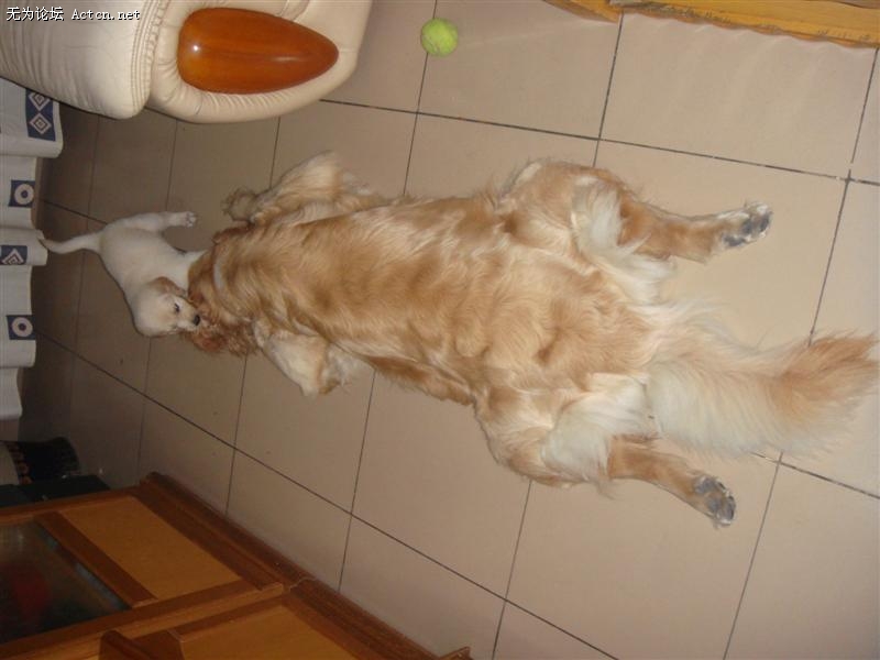 DSC01020 ().JPG
