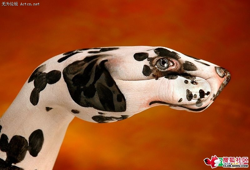 20090608_ae3aa44e2b6c7ab1f298tjYkMobD21Dd.jpg