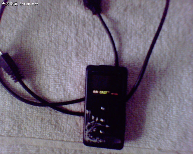 P31.jpg