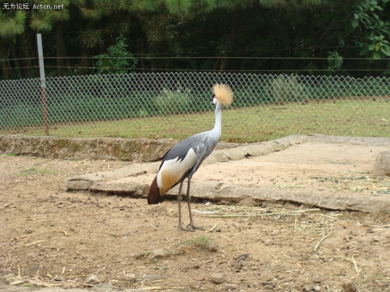DSC00576.JPG
