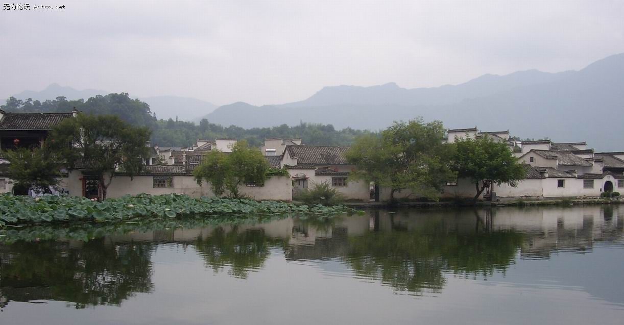 STA42463.jpg