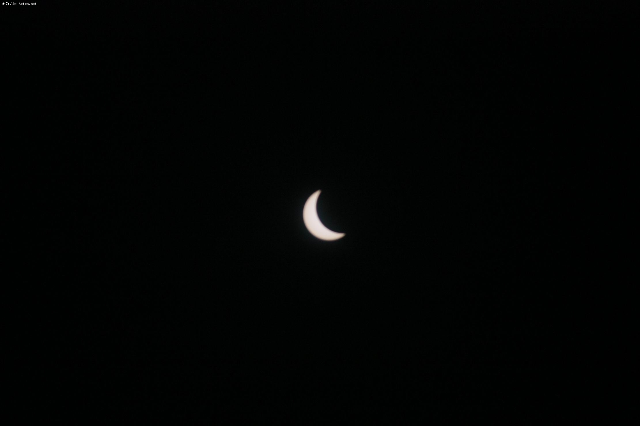 IMG_2446.jpg