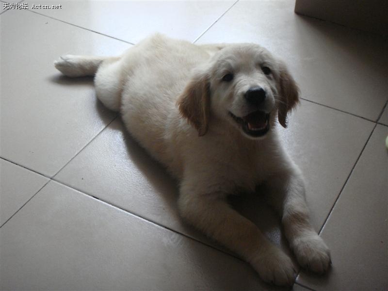 DSC01186 (����).JPG