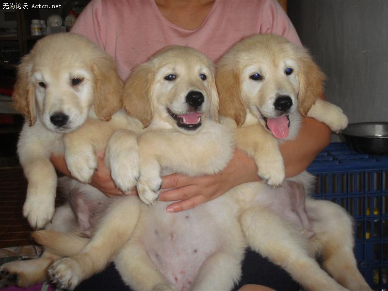 DSC01182 (����).JPG