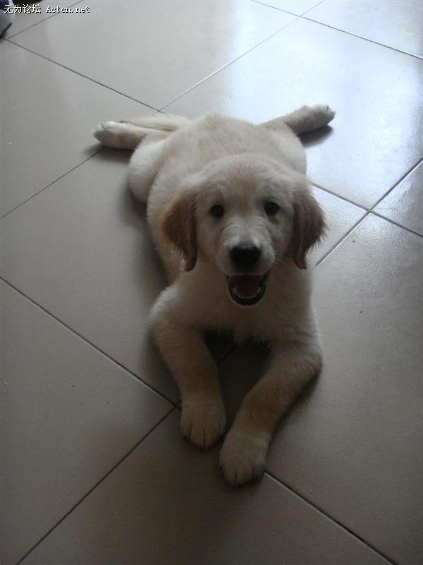 DSC01190 (����).JPG