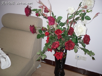 SDC10552.JPG