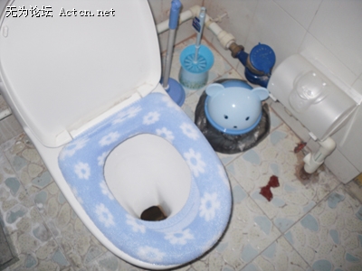 SDC10556.JPG