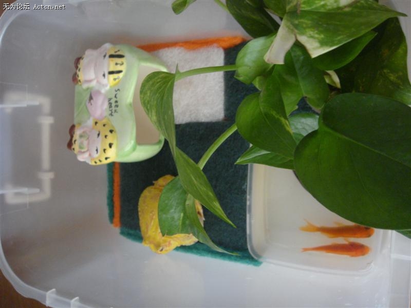 DSC01402 ().JPG