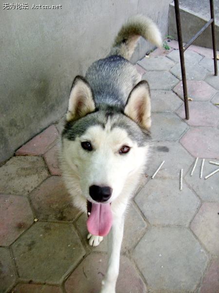 CIMG0023.JPG
