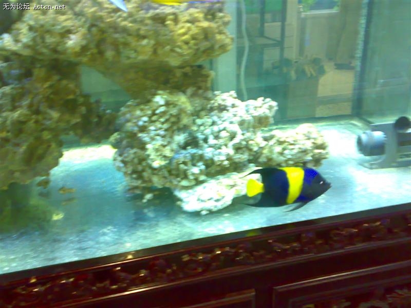20090822923 ().jpg