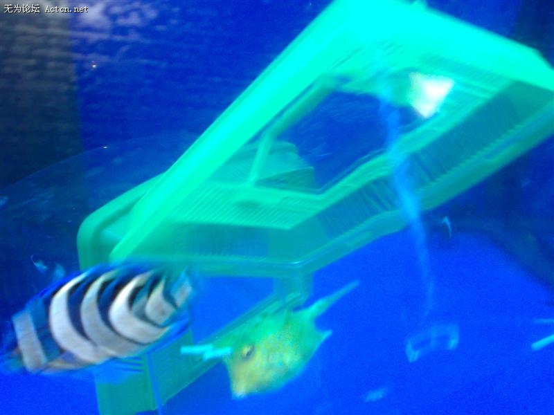 20090822937 ().jpg