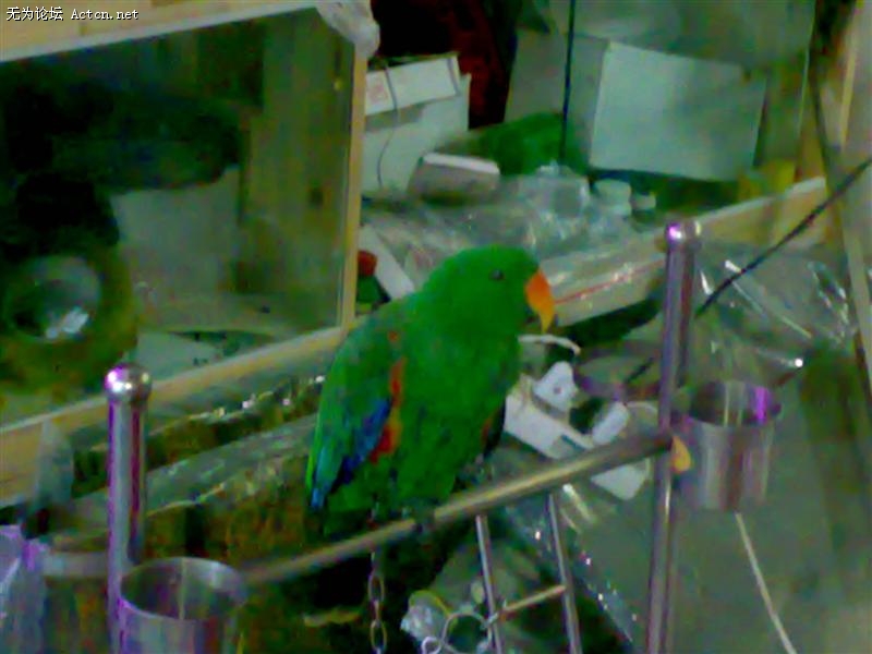 20090822934 ().jpg