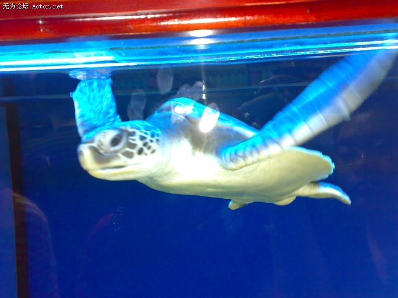 20090822935 ().jpg