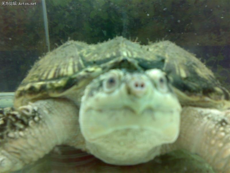 20090822933 ().jpg