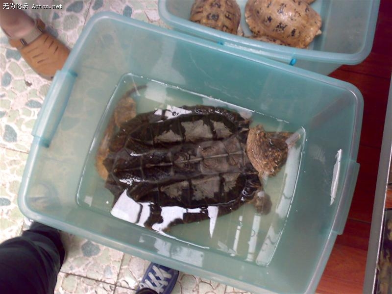 20090822926 ().jpg