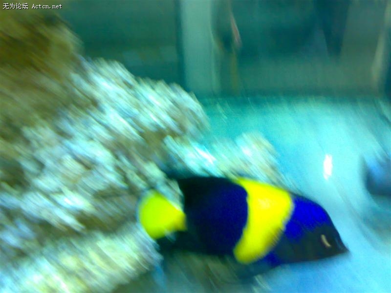 20090822922 ().jpg