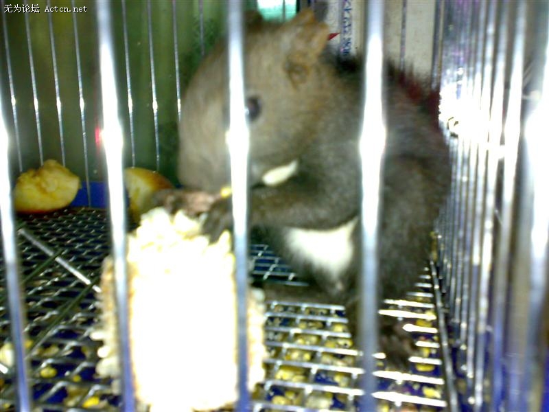 20090822931 ().jpg