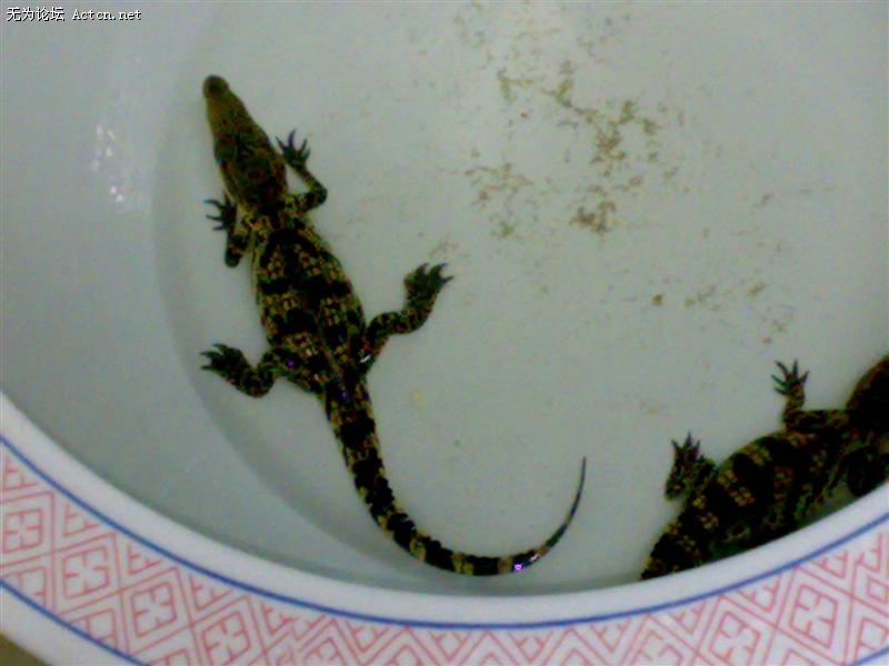 20090822927 ().jpg