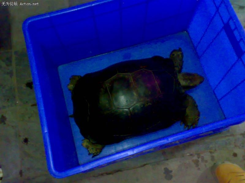 20090822924 ().jpg