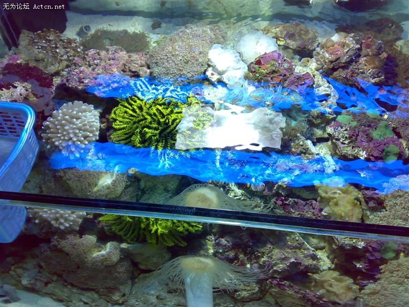20090822918 ().jpg