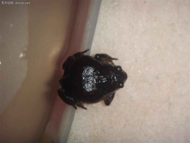DSC01793 ().JPG